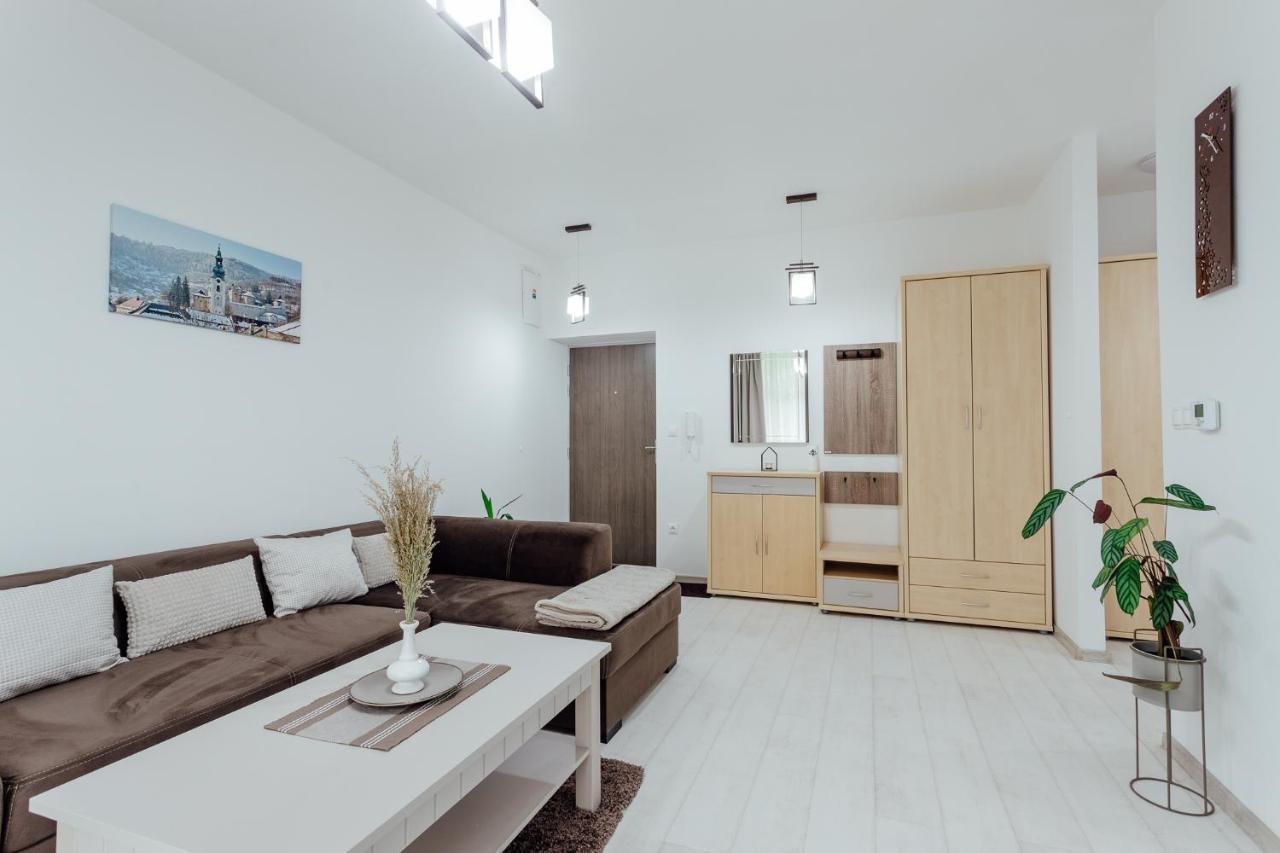 Apartman Vo Vile Kammergraf Banská Štiavnica Extérieur photo